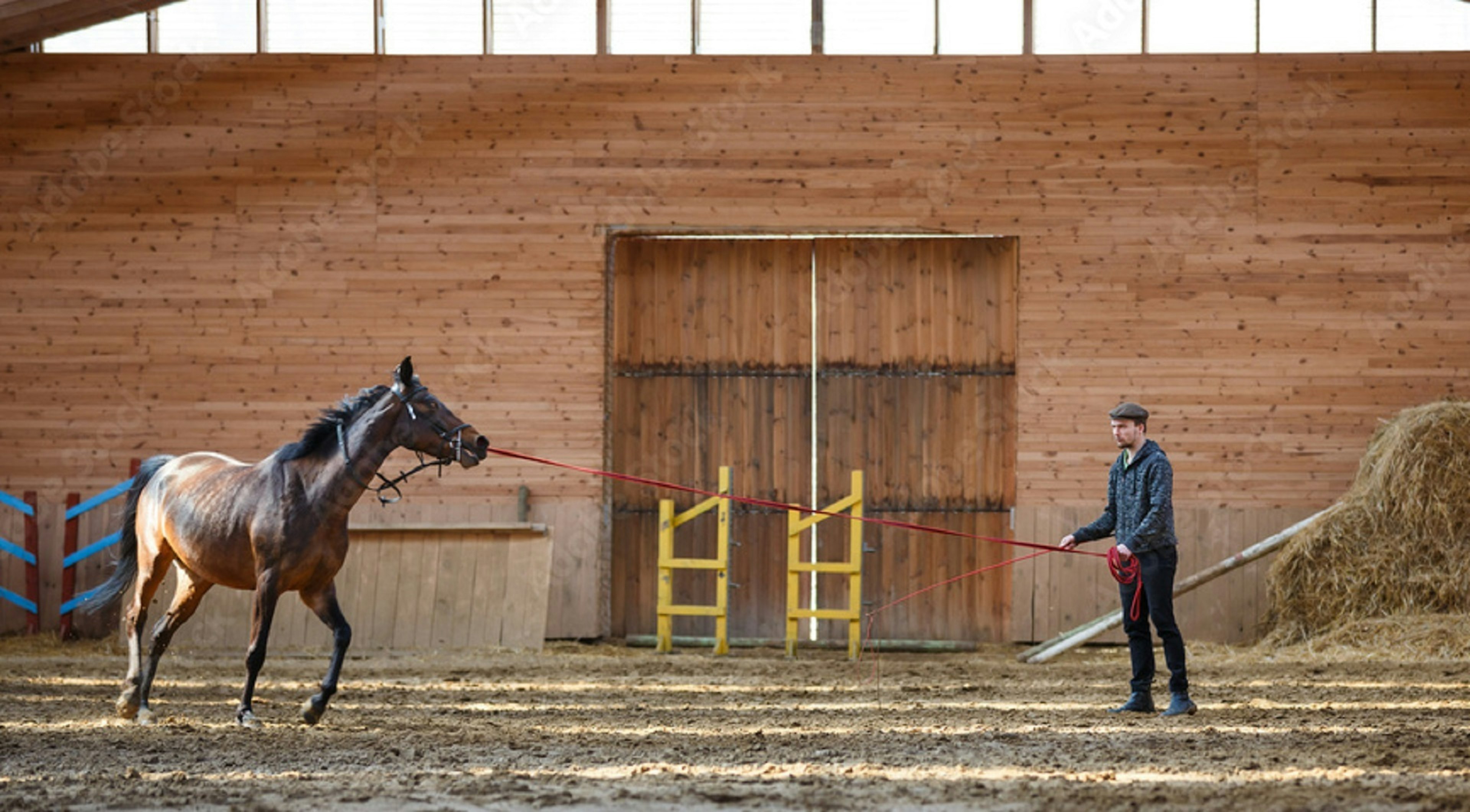 <p>Real-time dust monitoring for horse and rider safety in indoor arenas</p>