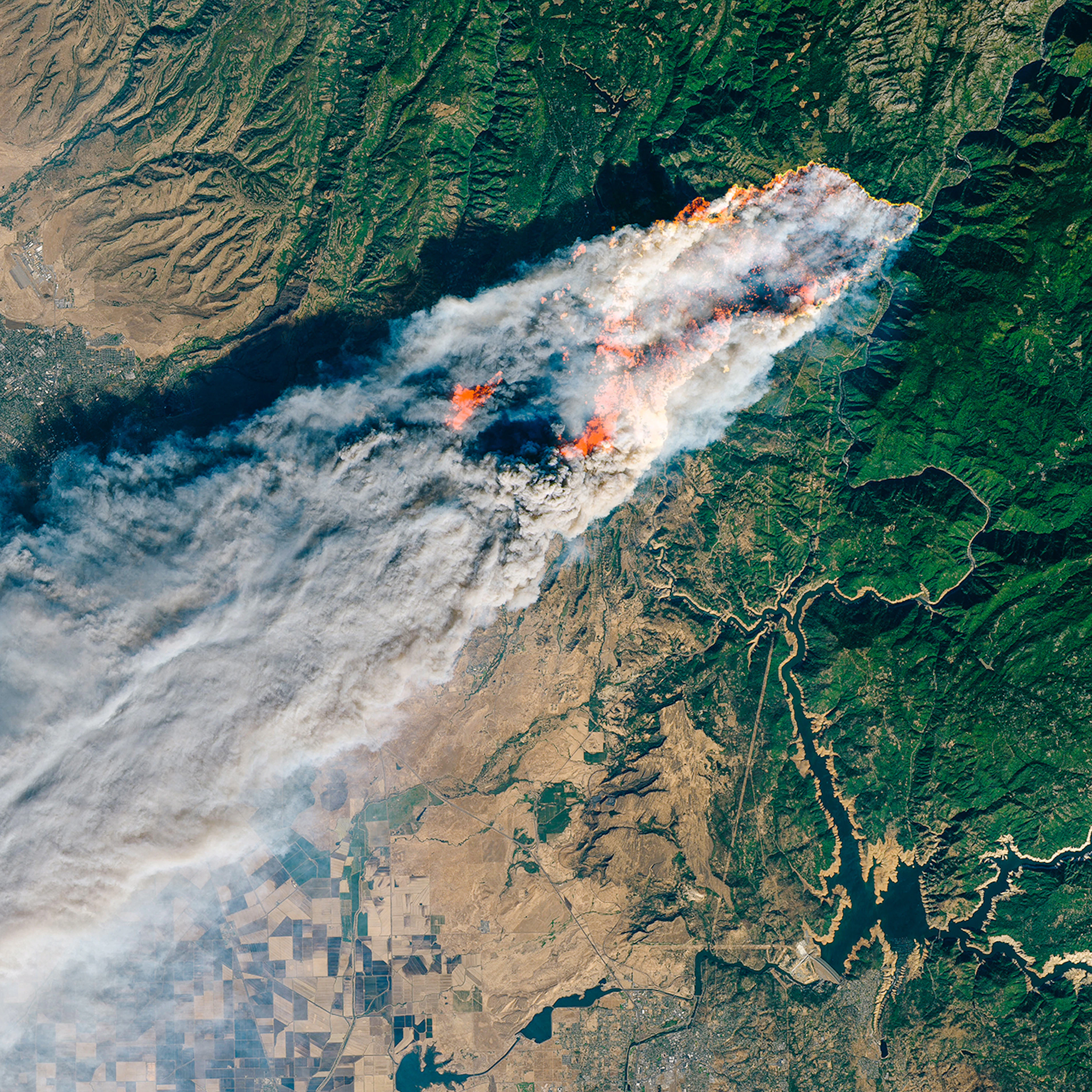 Protect and reassure workers with hyper-local data from a real-time wildfire smoke monitor.