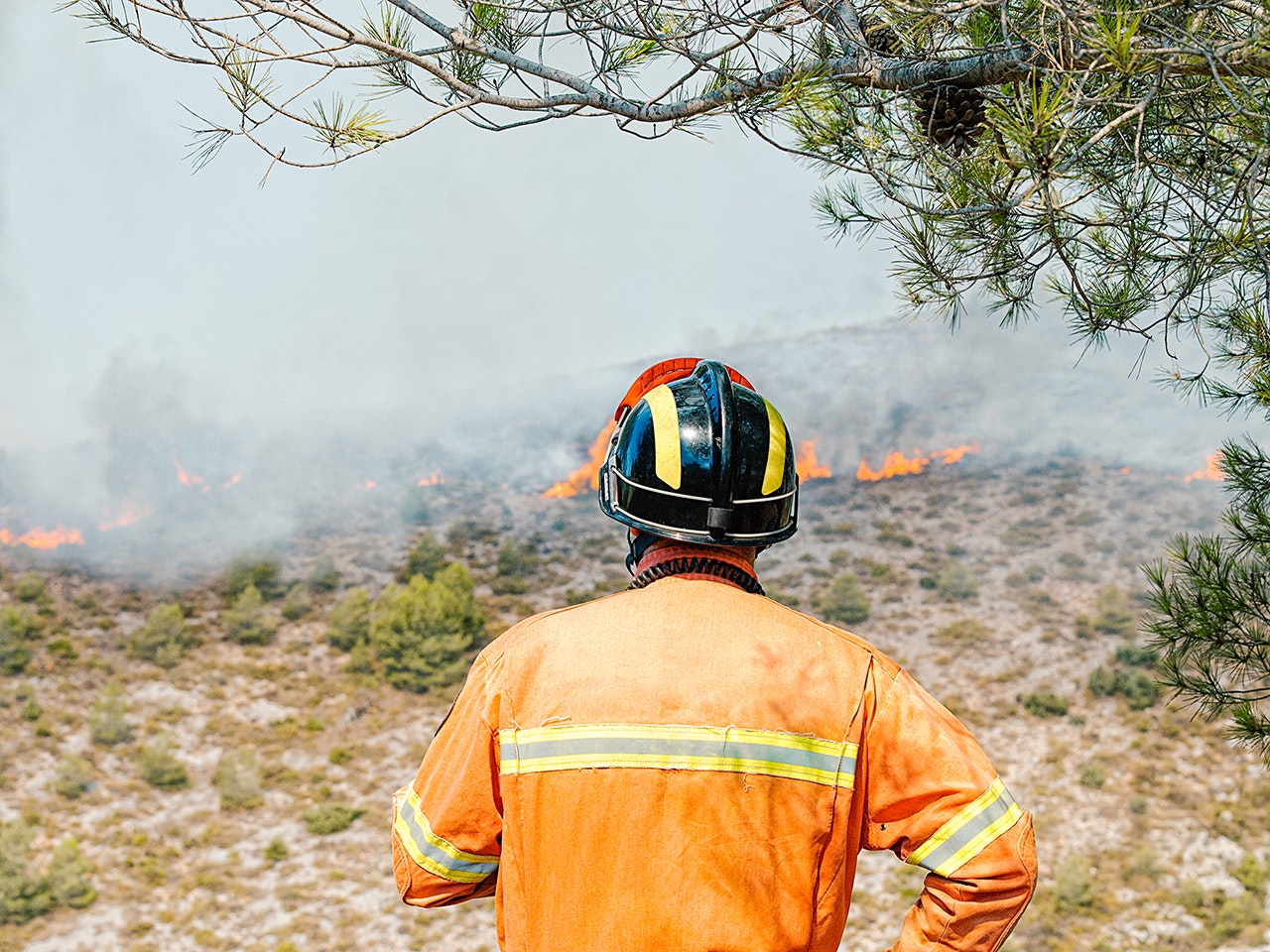 Protecting workers with real-time data and immediate alerts from wildfire smoke