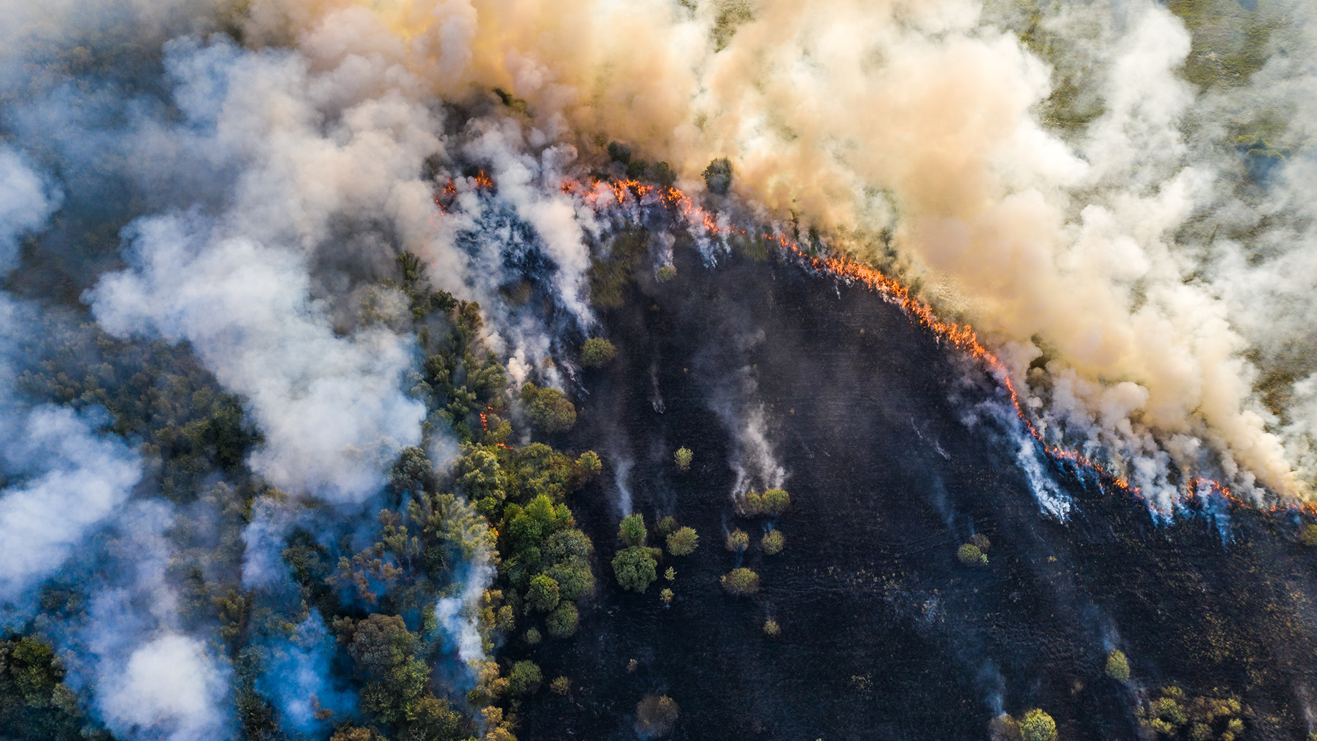 Cal/OSHA Wildfire Smoke Regulation | Aeroqual