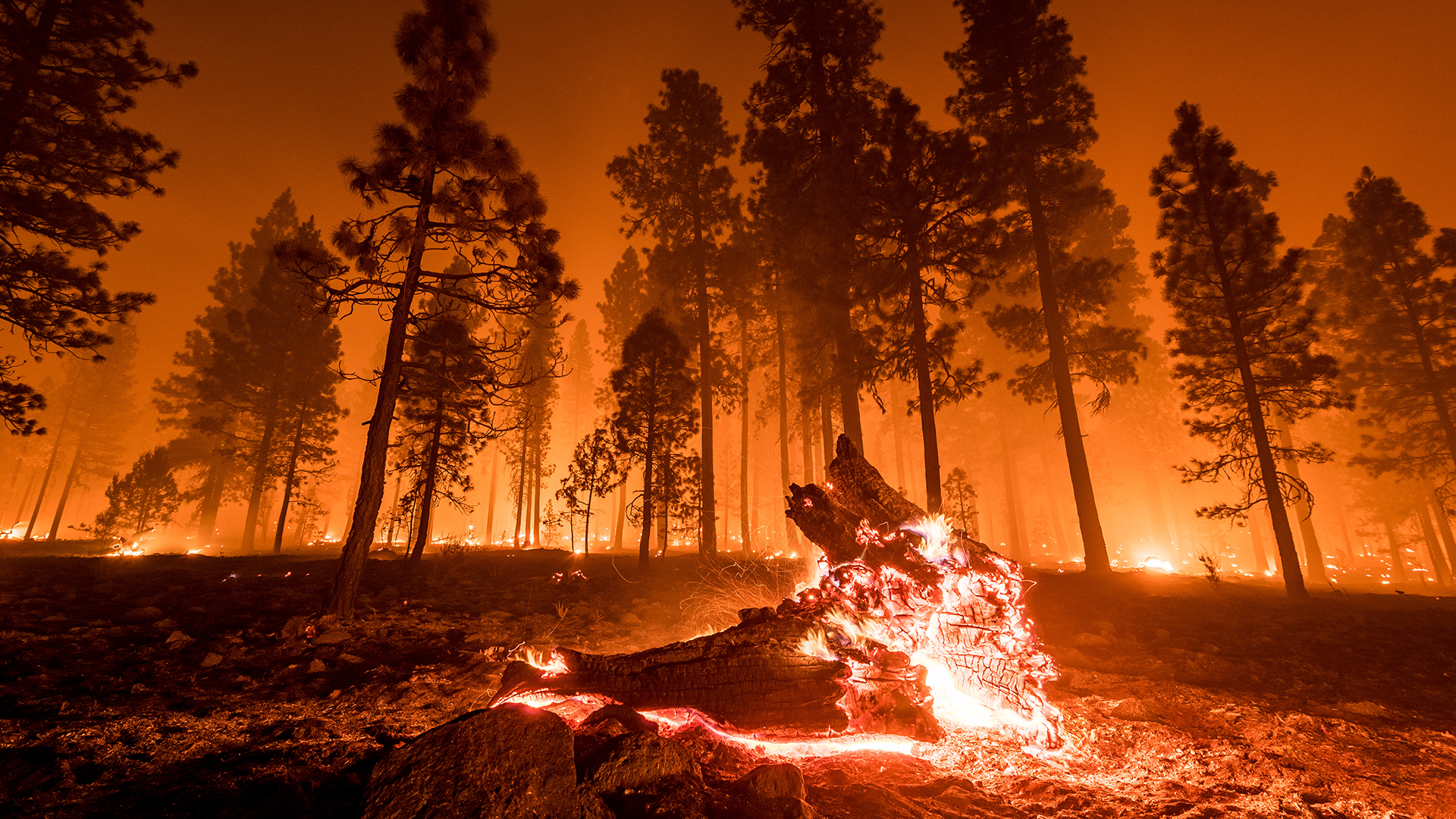 Oregon OSHA Enacts New Emergency Wildfire Smoke Rules